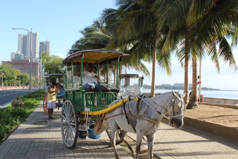 manila, city, philippines, Malate, Paseo de Roxas, carro y caballo